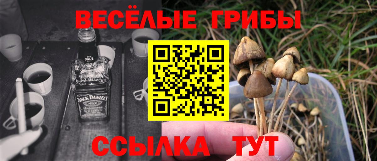 Псилоцибиновые грибы мухоморы Саяногорск